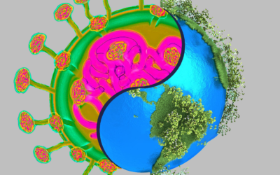 What can we learn from the corona virus?